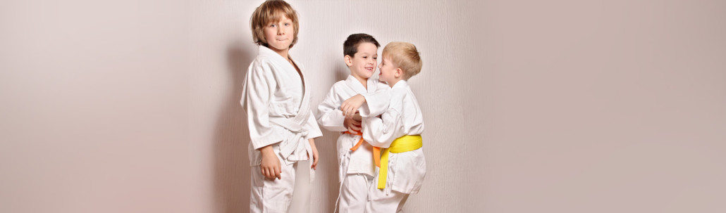s3judo-1030x303